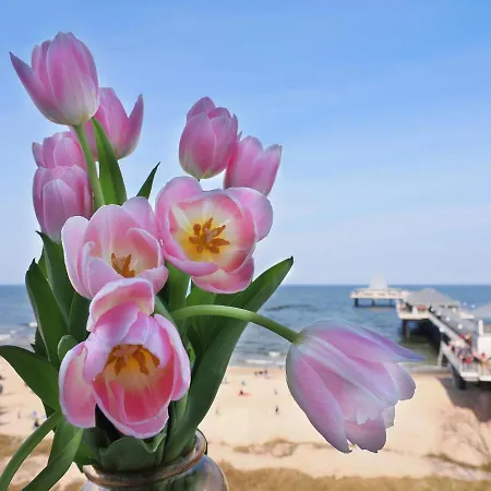 شقة Seebruecke - Mit 1 Schlafzimmer Und Balkon S15